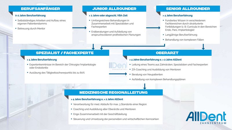 Infografik zu Karrierestufen