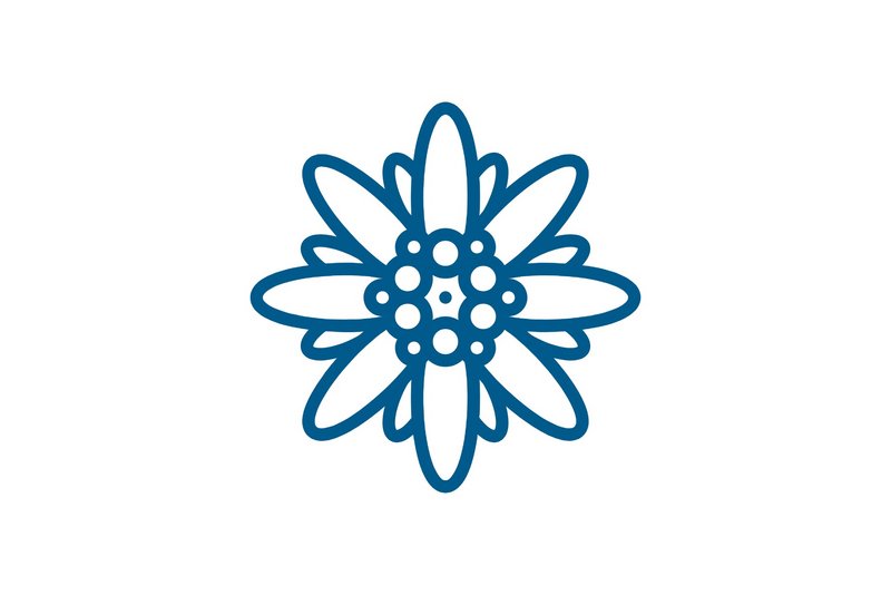 Icon Edelweiss