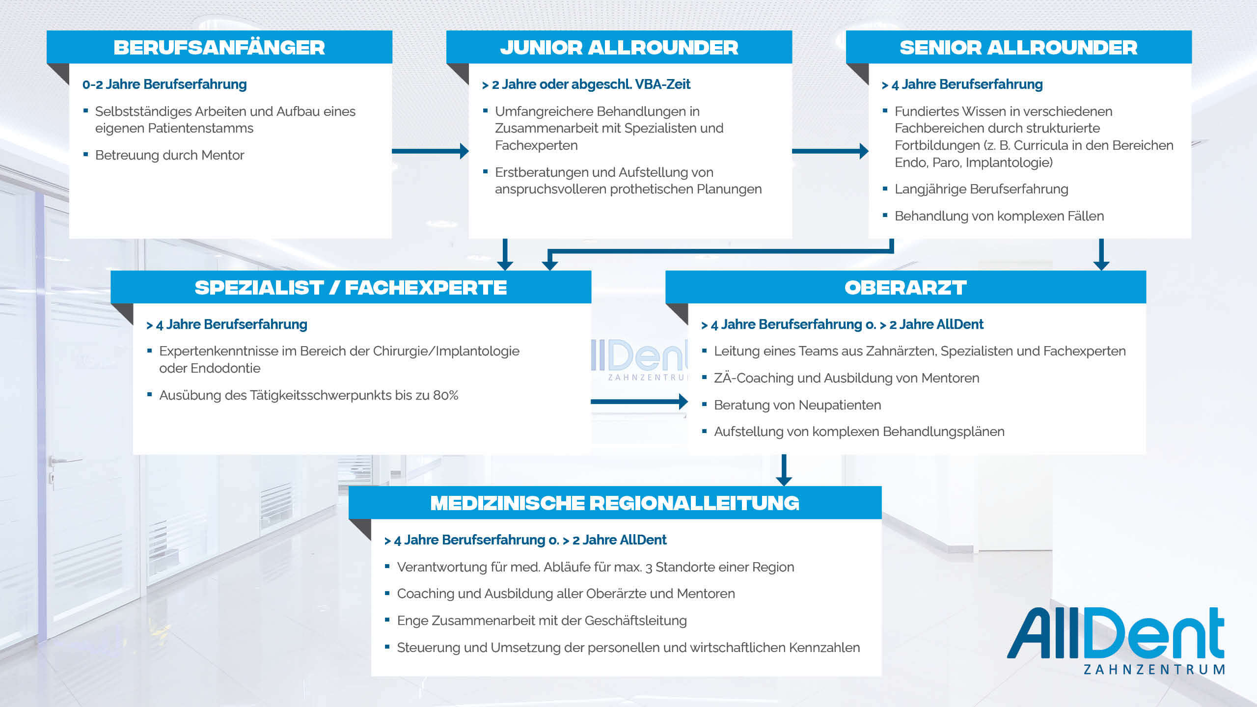 Infografik zu Karrierestufen